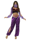 Arabian Purple Princess Costume